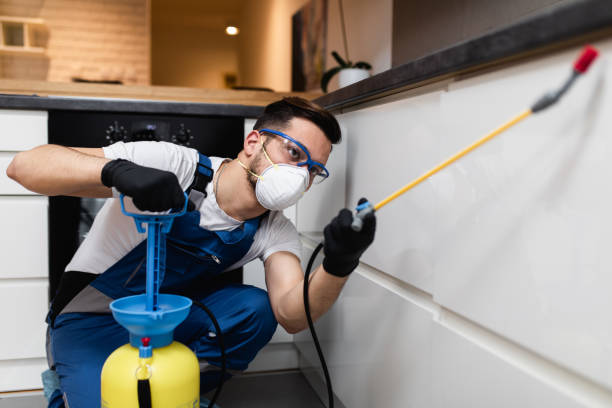 Best Residential Pest Control  in Koloa, HI