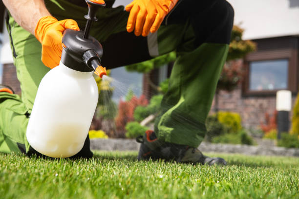 Best Mosquito Control Services  in Koloa, HI